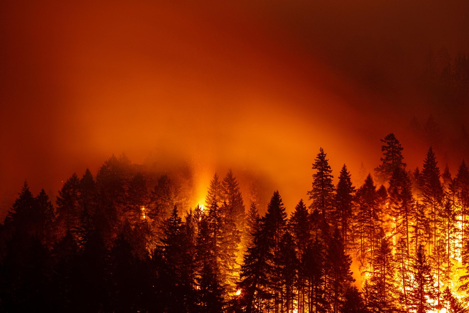 Eagle Creek Fire Oregon Columbia River Gorge.