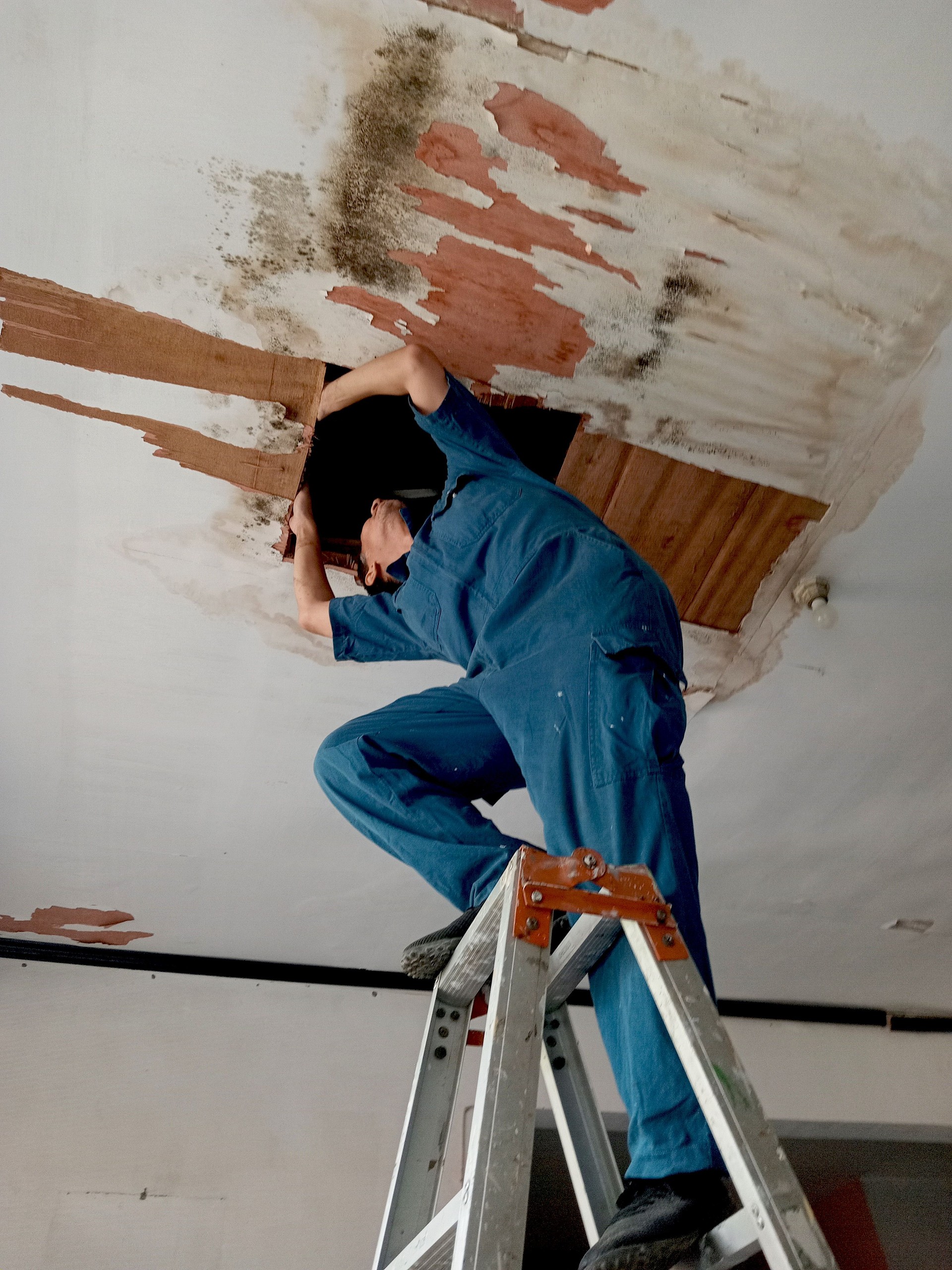Technician fixing the ceiling